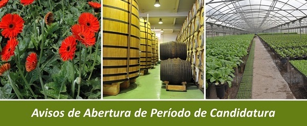 AVISOS ABERTURA CANDIDATURAS3 c2e37